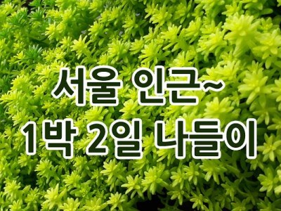 서울 근교 숯불 바베큐할만한 1박2일