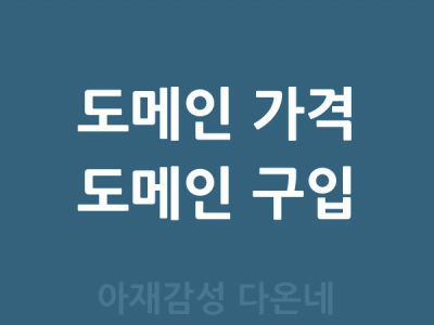 한글 도메인 가격 도메인 얼마예요