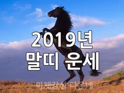 2019년 말띠 운세