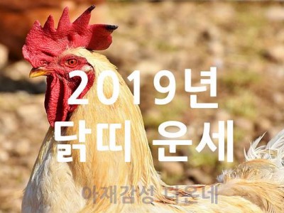 2019년 닭띠 운세