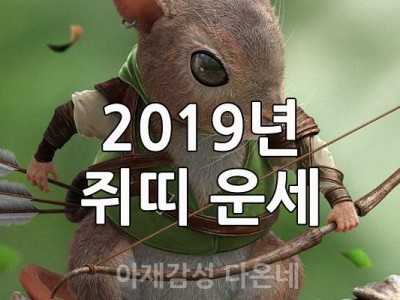 2019년 쥐띠 운세