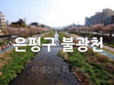 다온네가 사는 은평구에는 불광천이 있다