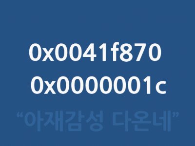 npUpdateC.exe - 응용 프로그램 오류 0x0041f870에 있는 명령이 0x0000001c의