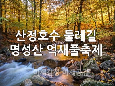 산정호수 명성산 억새풀축제 주차장