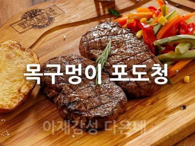 속담풀이 목구멍이 포도청 뜻