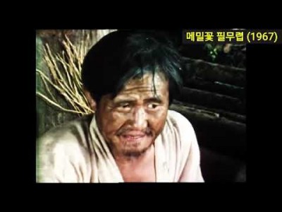 메밀꽃 필 무렵 영화감상 1967년