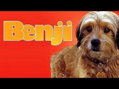 사랑스러운 강아지 밴지 영화 Benji 1974년 영화감상